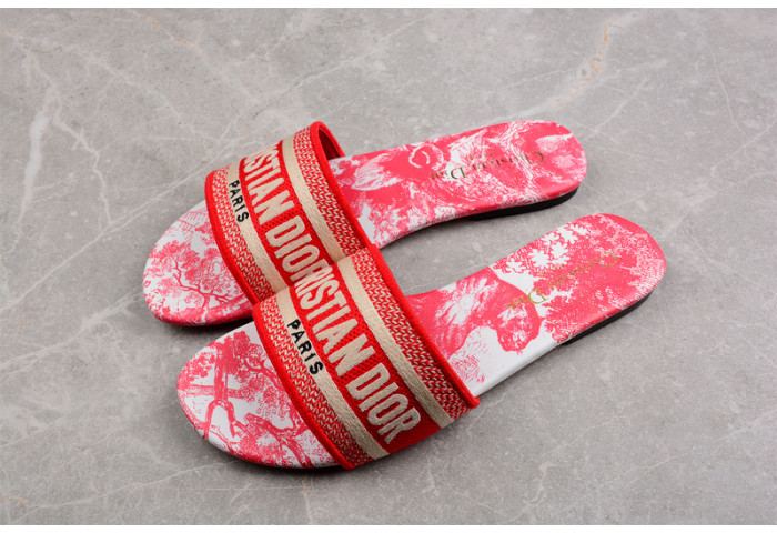D*or slides ds-003