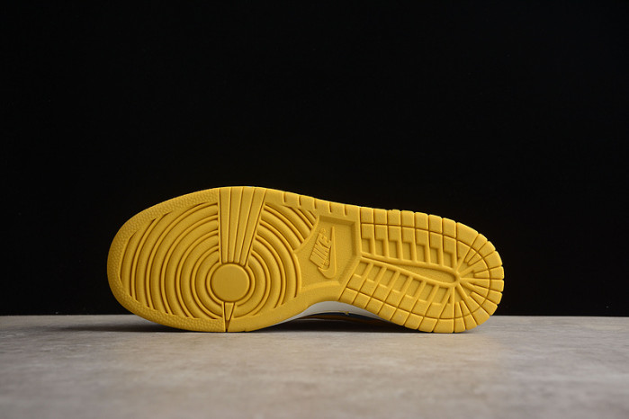 nike sb dunk low lf2428-002