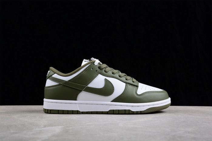 nike dunk low dd1503-120