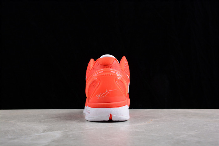 nike kobe vi protro 6 cw2190-801