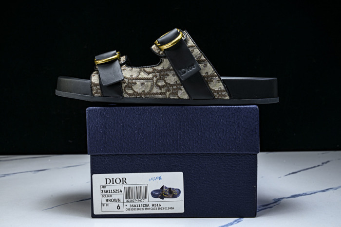 D10r SLIDES DS-097