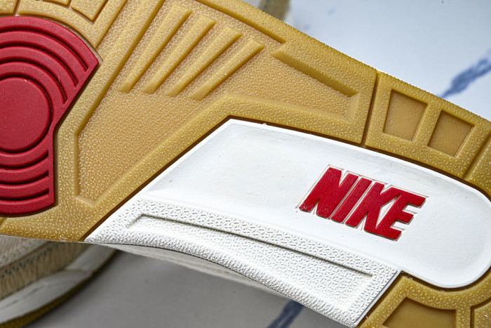 Air Jordan 3 x Levi