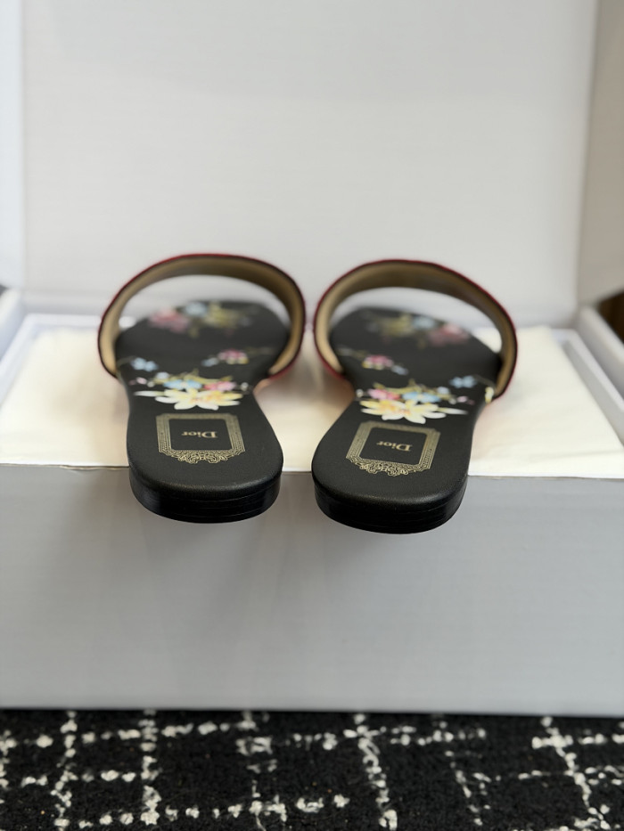 D10r SLIDES DS-0128