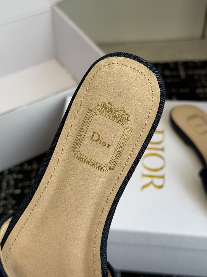 D10r SLIDES DS-0112