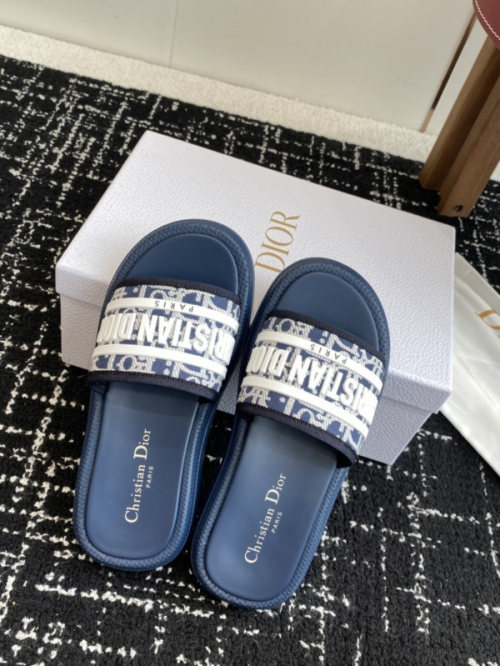 D10r slides ds-087