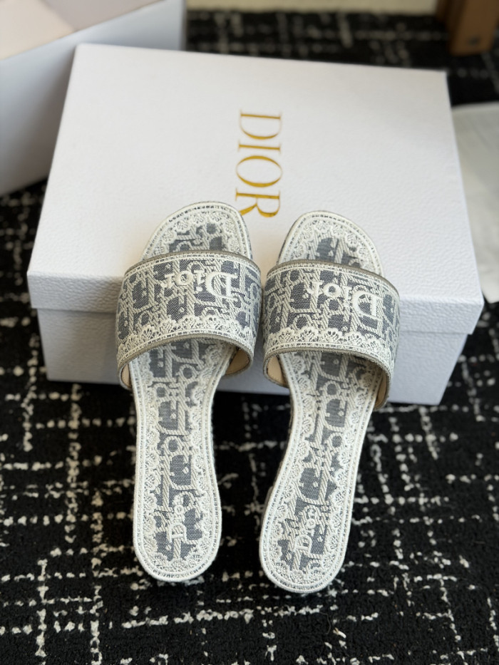 D10r SLIDES DS-0102