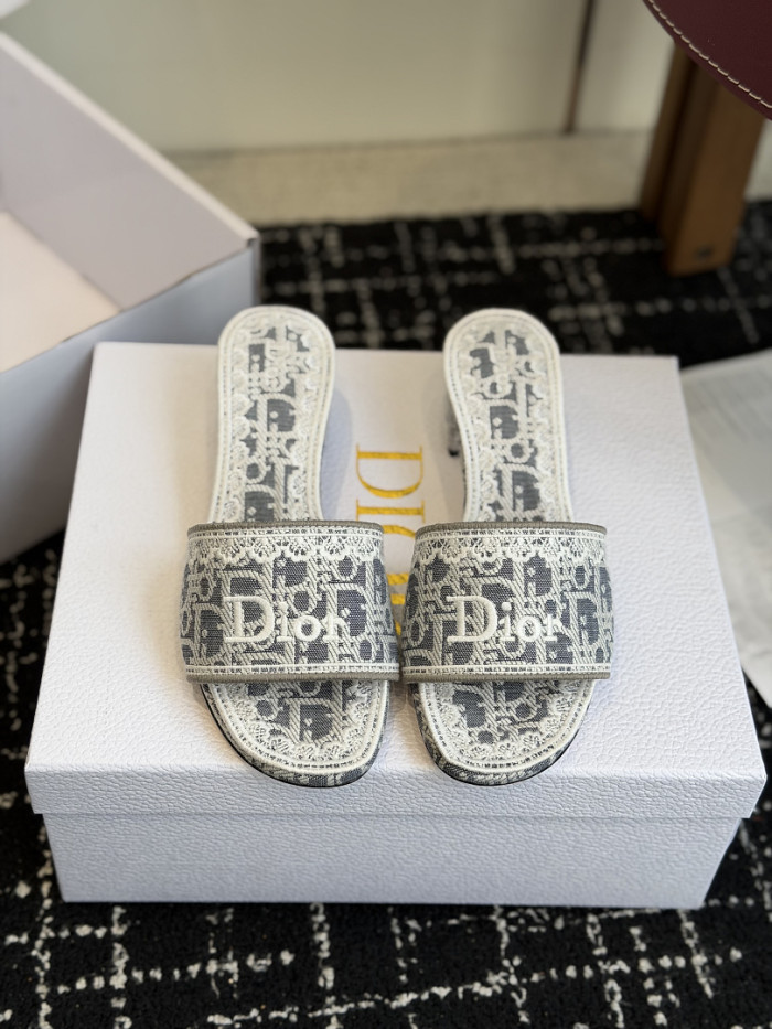 D10r SLIDES DS-0102