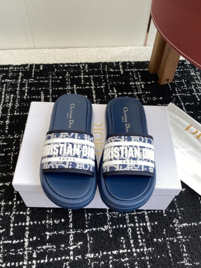 D10r slides ds-087