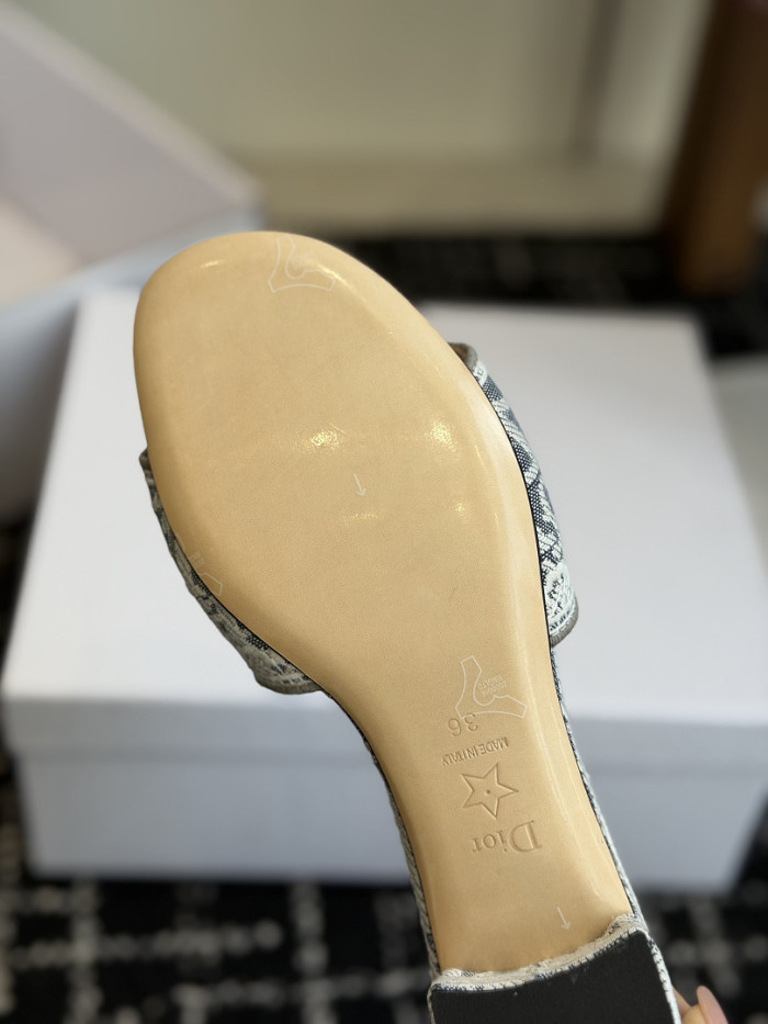 D10r SLIDES DS-0102