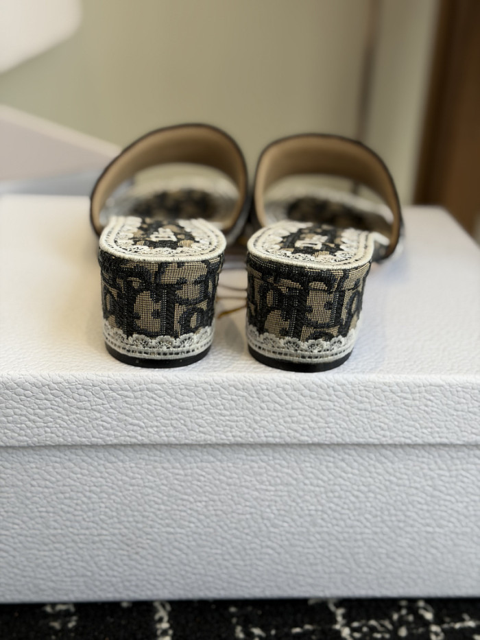 D10r SLIDES DS-0101