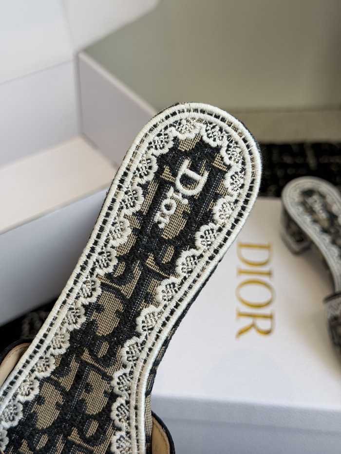 D10r SLIDES DS-0101