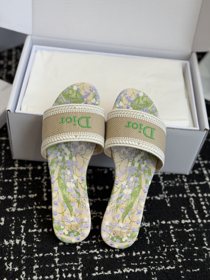 D10r SLIDES DS-0125