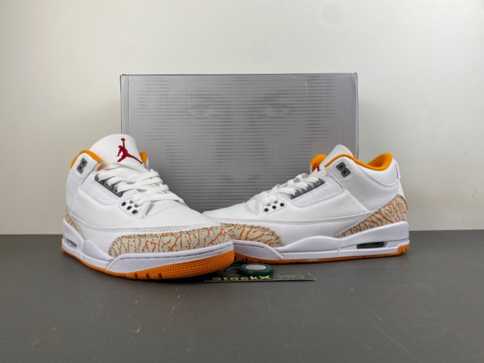 Air Jordan 3 Retro CK9246-101