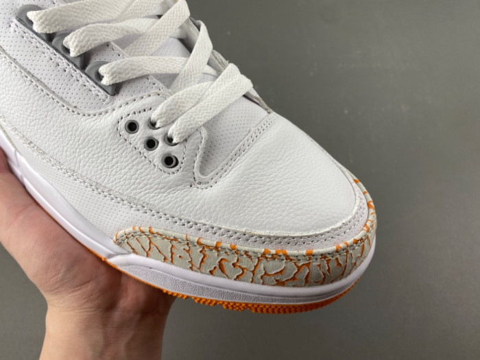 Air Jordan 3 Retro CK9246-101