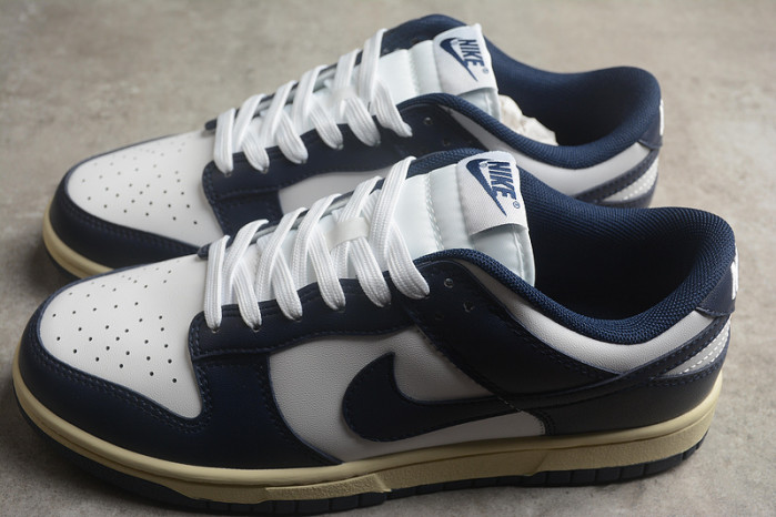 nike sb dunk low dd1503-115