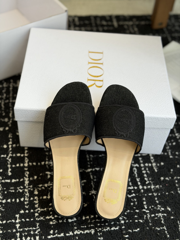 D10r SLIDES DS-0108