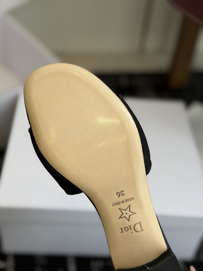 D10r SLIDES DS-0108