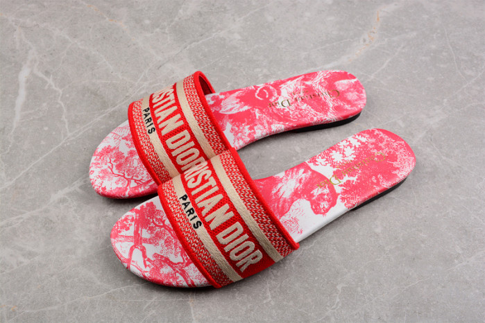 D*or slides ds-003