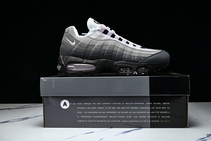 Nike Air Max 95 SP HJ5996-001