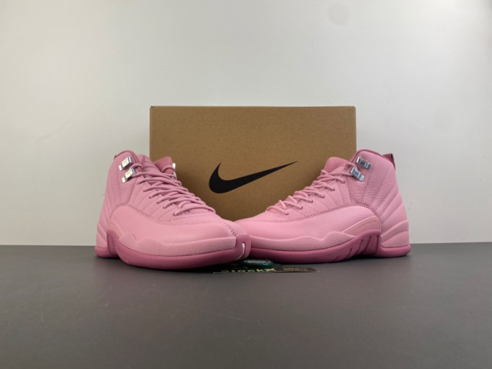 Air Jordan 12 Retro 510815-600