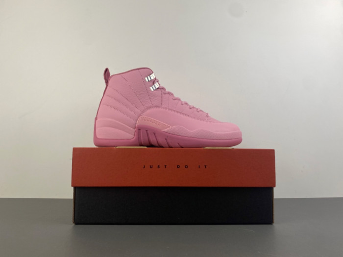 Air Jordan 12 Retro 510815-600