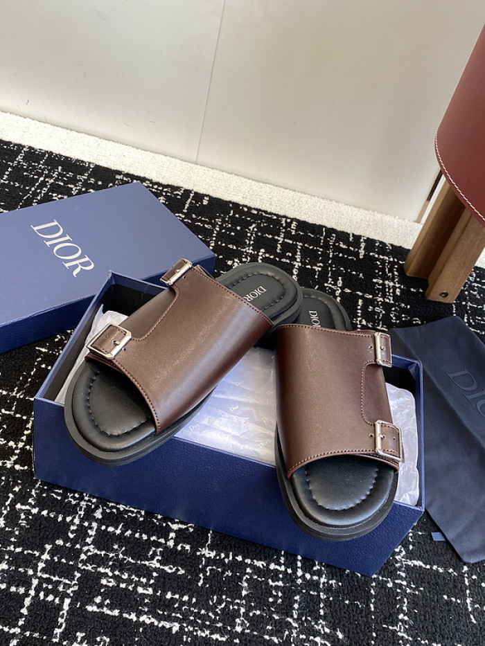 D10r slides ds-076