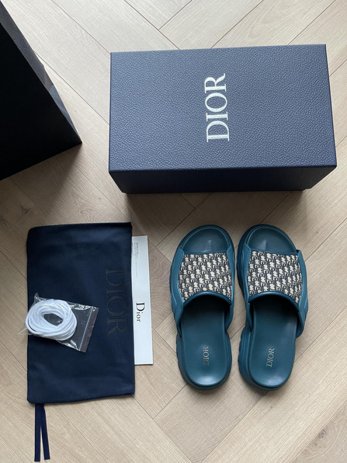 D10r slides ds-047