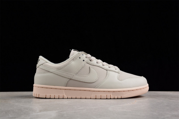 nike sb dunk low  dz2538-100