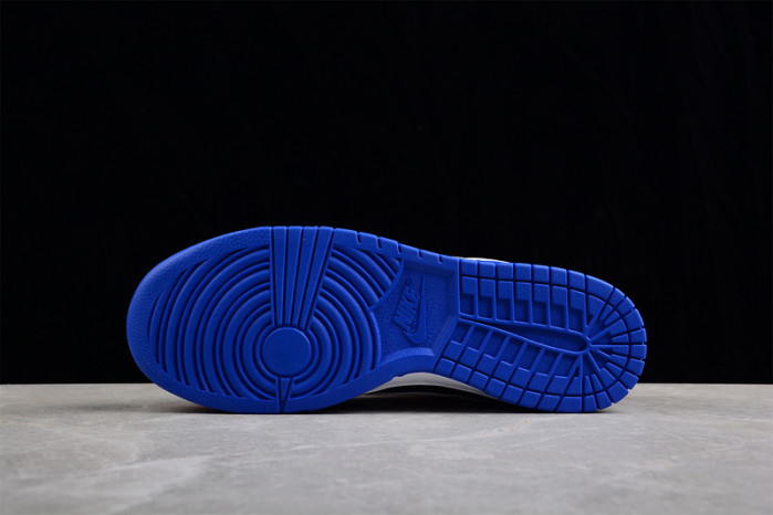 nike sb dunk low dr6190-100