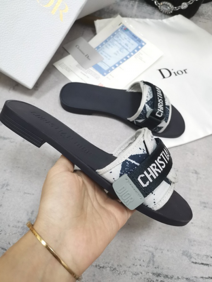 D10r slides ds-029