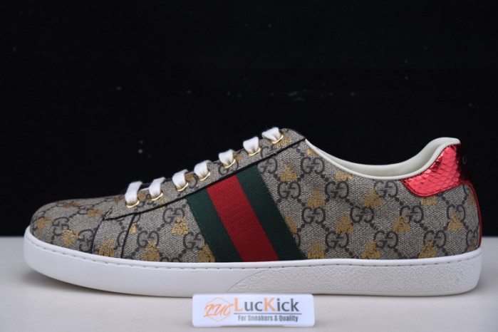 gc sneaker