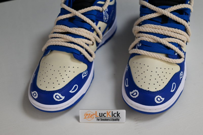nike dunk low “retro” dd1391-001