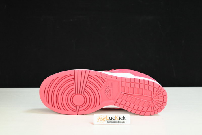 nk dunk low“raspberry red” dd1503-111