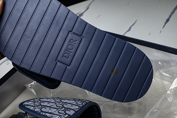 D10r SLIDES DS-091
