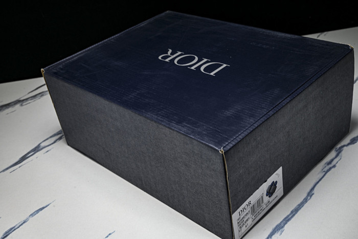 D10r SLIDES DS-091