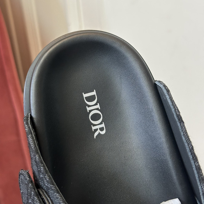 D10r SLIDES DS-0161