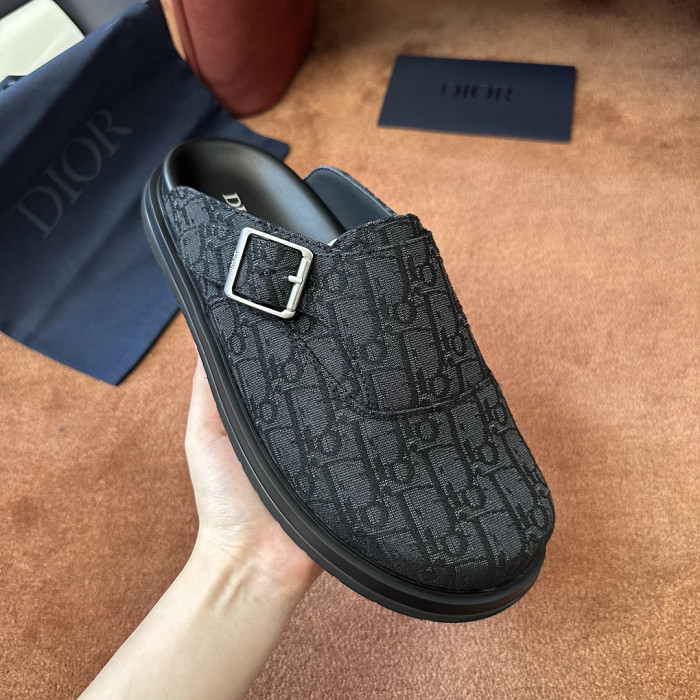 D10r SLIDES DS-0161