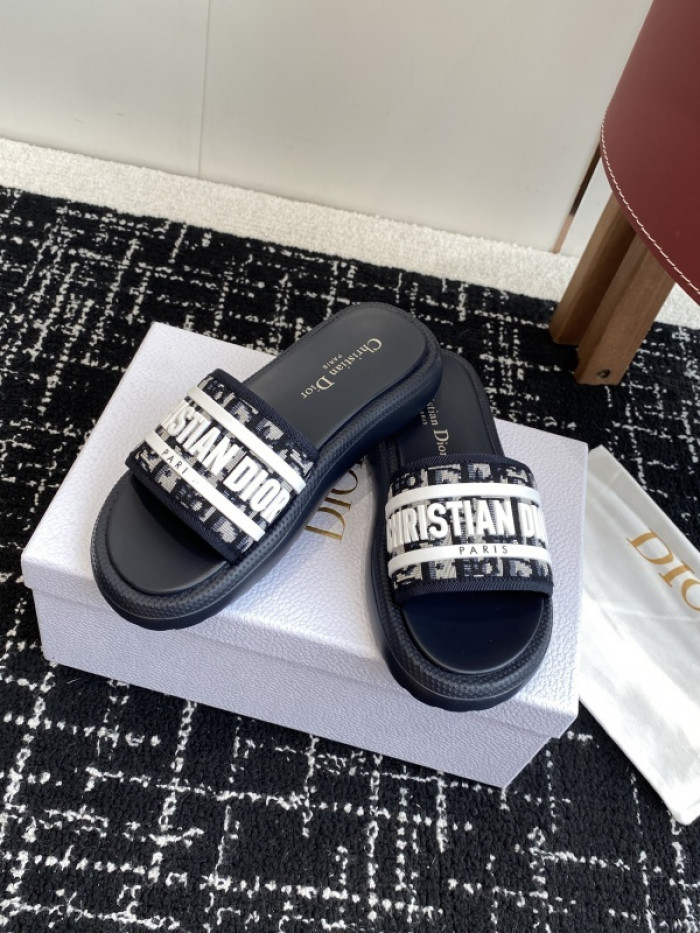 D10r slides ds-088