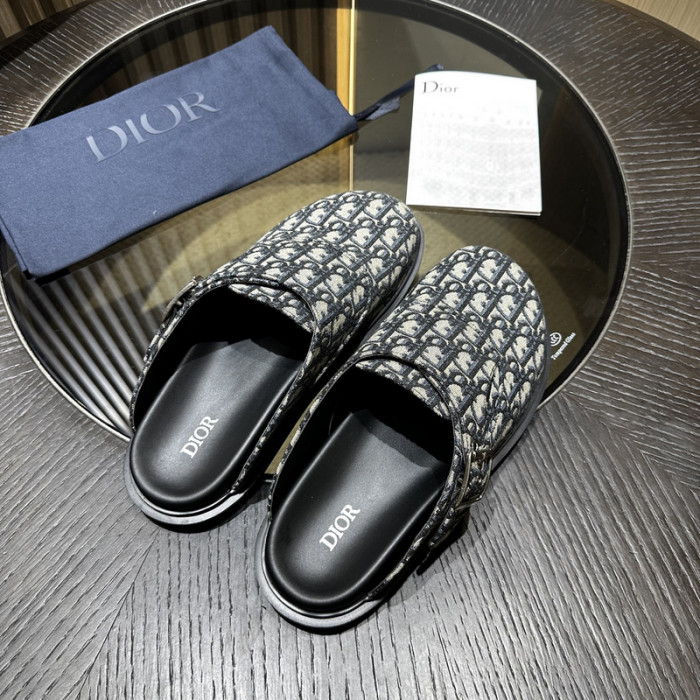 D10r slides ds-072