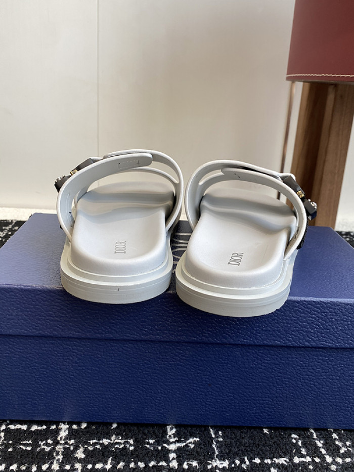 D10r slides ds-073