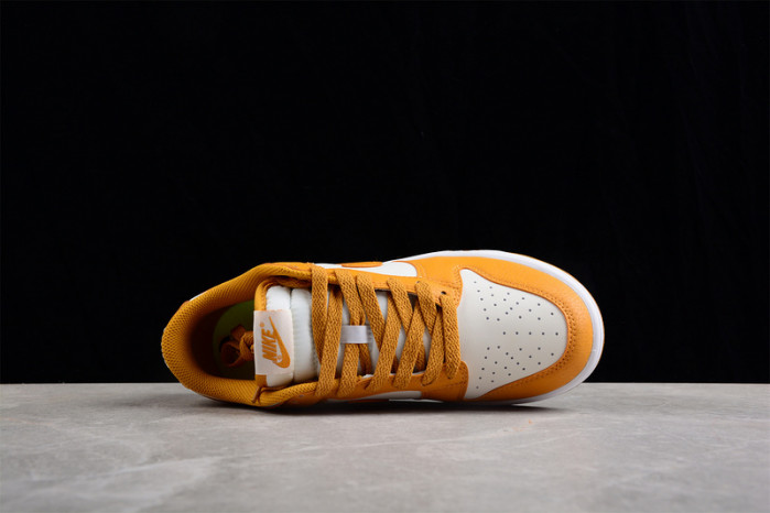 nike sb dunk low dn1431-001