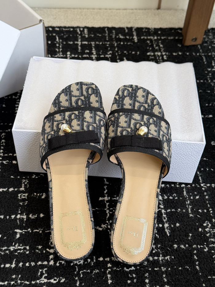 D10r SLIDES DS-0146