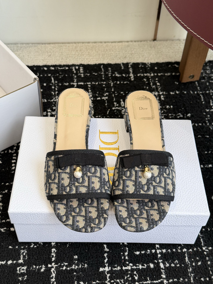 D10r SLIDES DS-0146