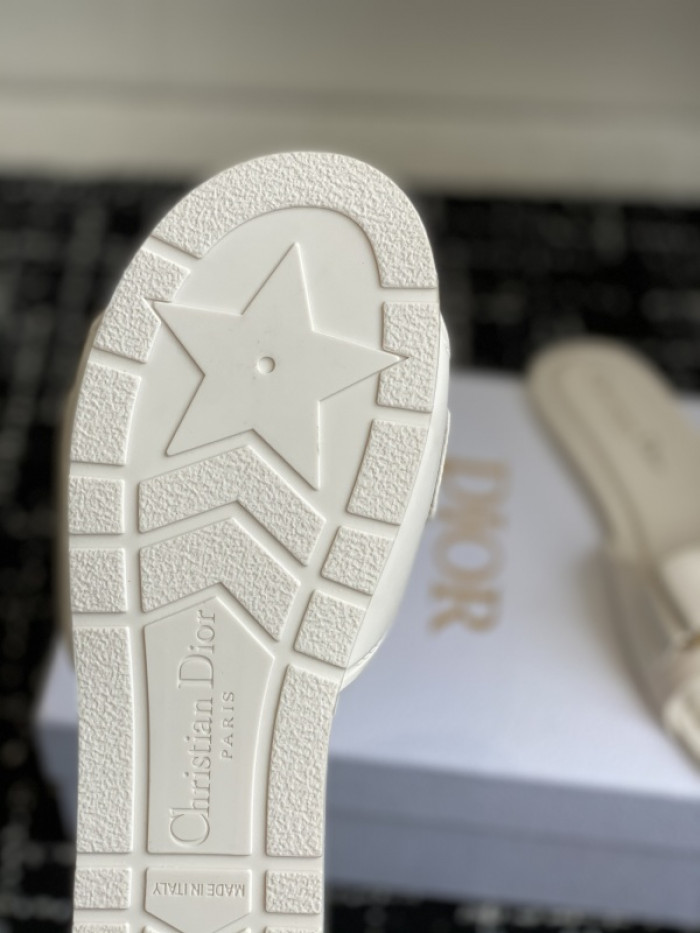 D10r slides ds-083