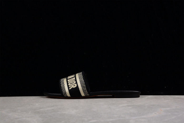 D*or slides ds-005