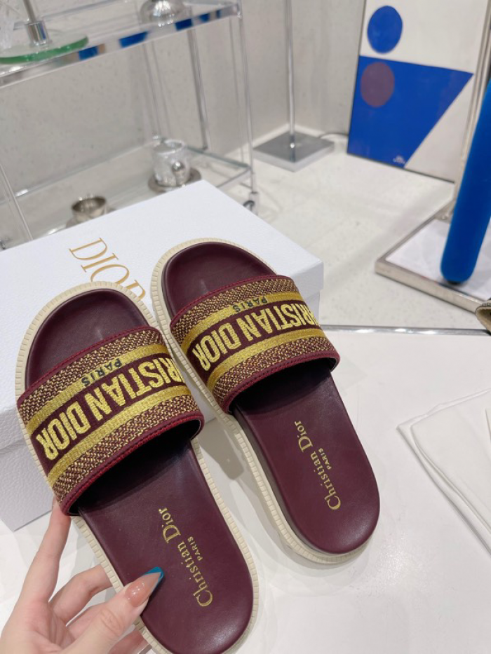 D10r slides ds-017