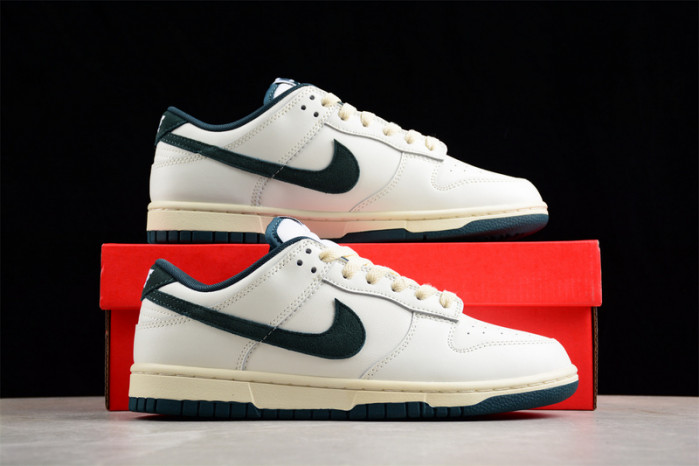nike dunk low fq8080-133