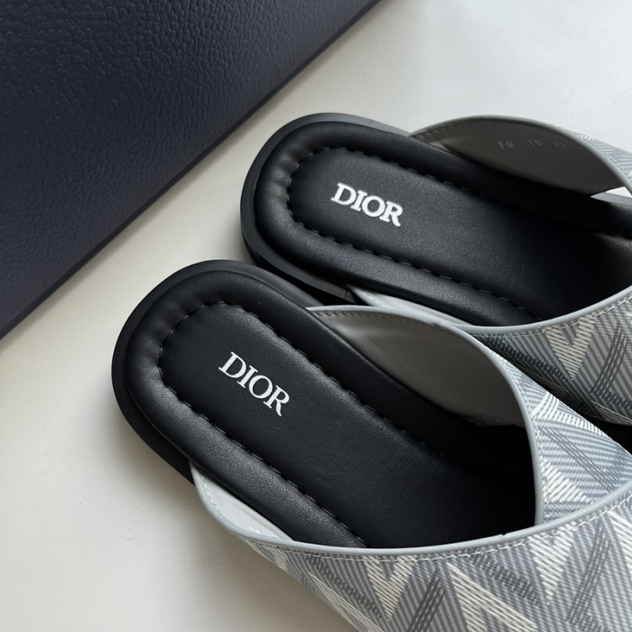 D10r slides ds-042