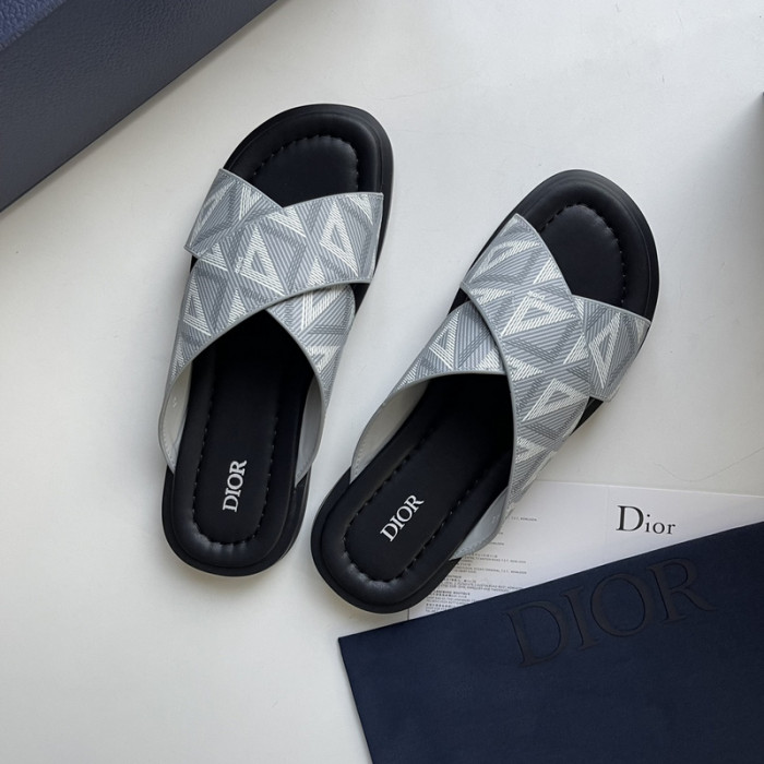 D10r slides ds-042