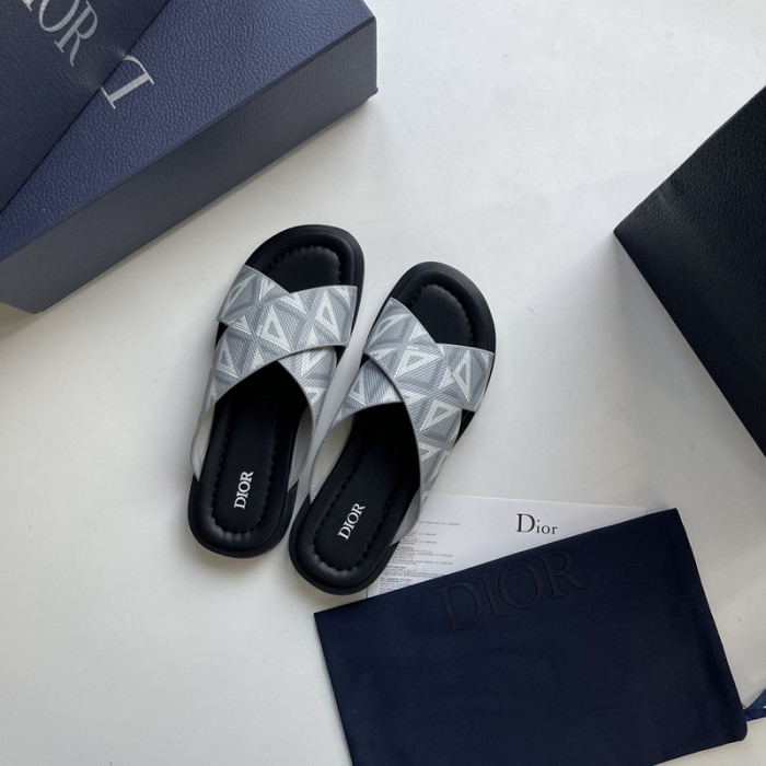 D10r slides ds-042